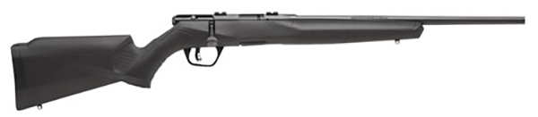 SAV B17 F CMPT 17HMR 18